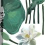 Aquarell Weißer Lotus Blume und Blätter Wandtattoo