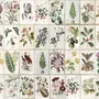 Vintage Floral Ceramic Art Wallpaper Mural