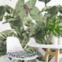 Papier peint feuilles banane tropicales vertes fleurs calla