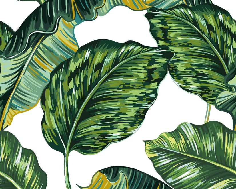 Papier peint panoramique feuille de bananier tropicale