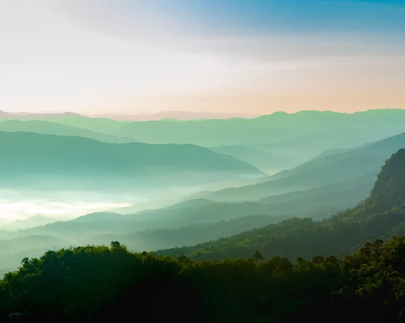 Misty Mountain Green Forest Scenic Wallpaper Mural