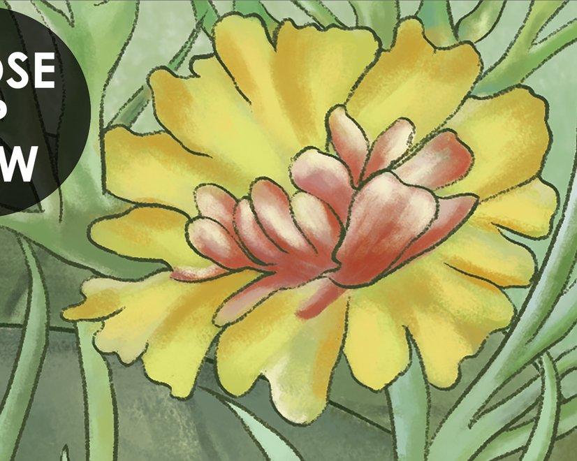 Papier peint forêt tropicale dessinée