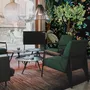 Vintage Big Tree Forest Wallpaper Mural