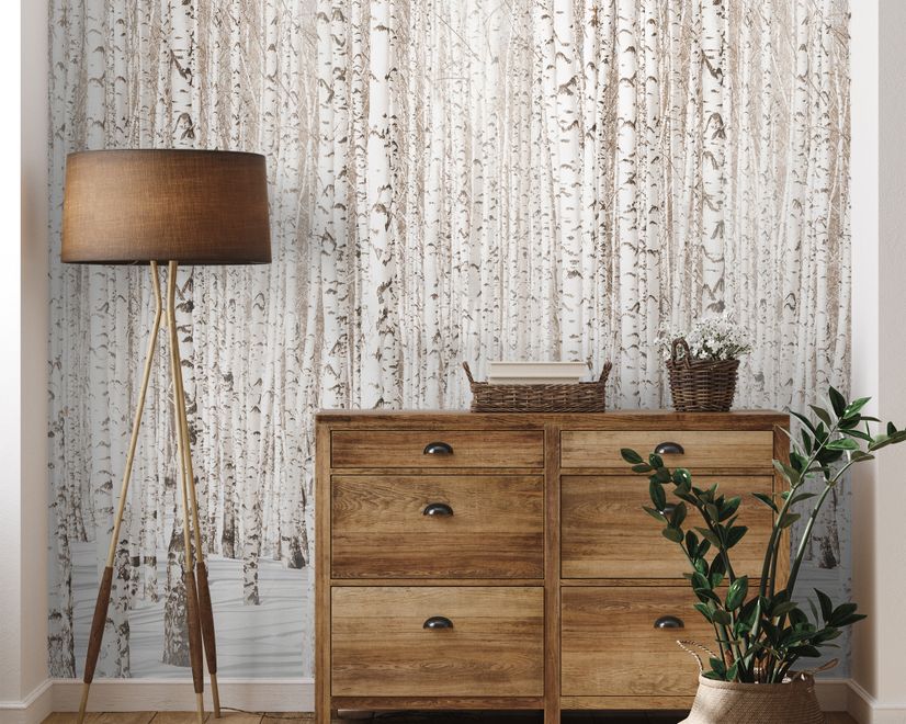 Birch Tree Forest in Winter Wallpaper Mural