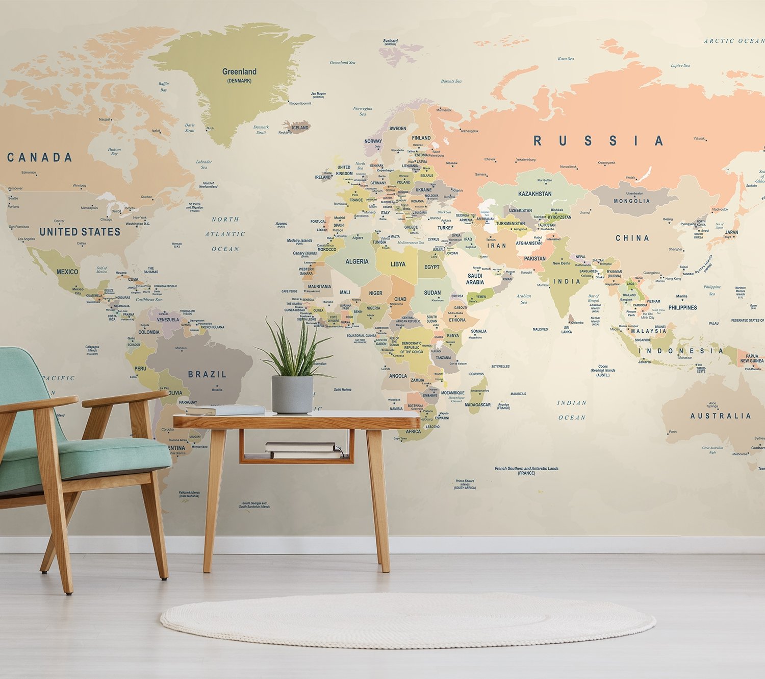 Political World Map Countries Detailed Wallpaper Mural - Peel and Stick