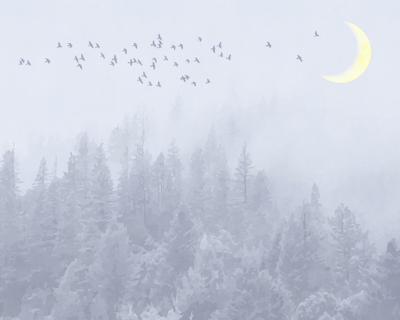 Monochrome Night Forest and Birds Wallpaper Mural