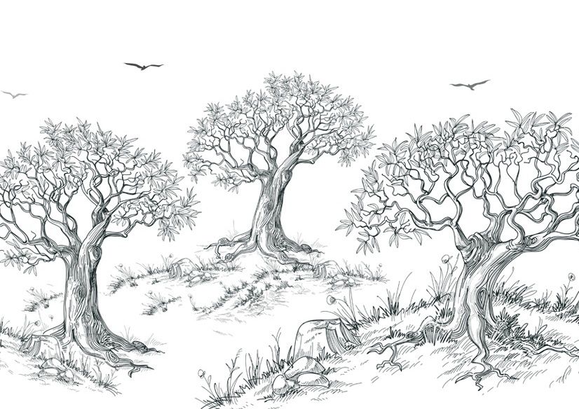 Charcoal Tree Drawing Wallpaper Mural