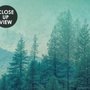 Misty Green Forest with Birds Wallpaper Mural
