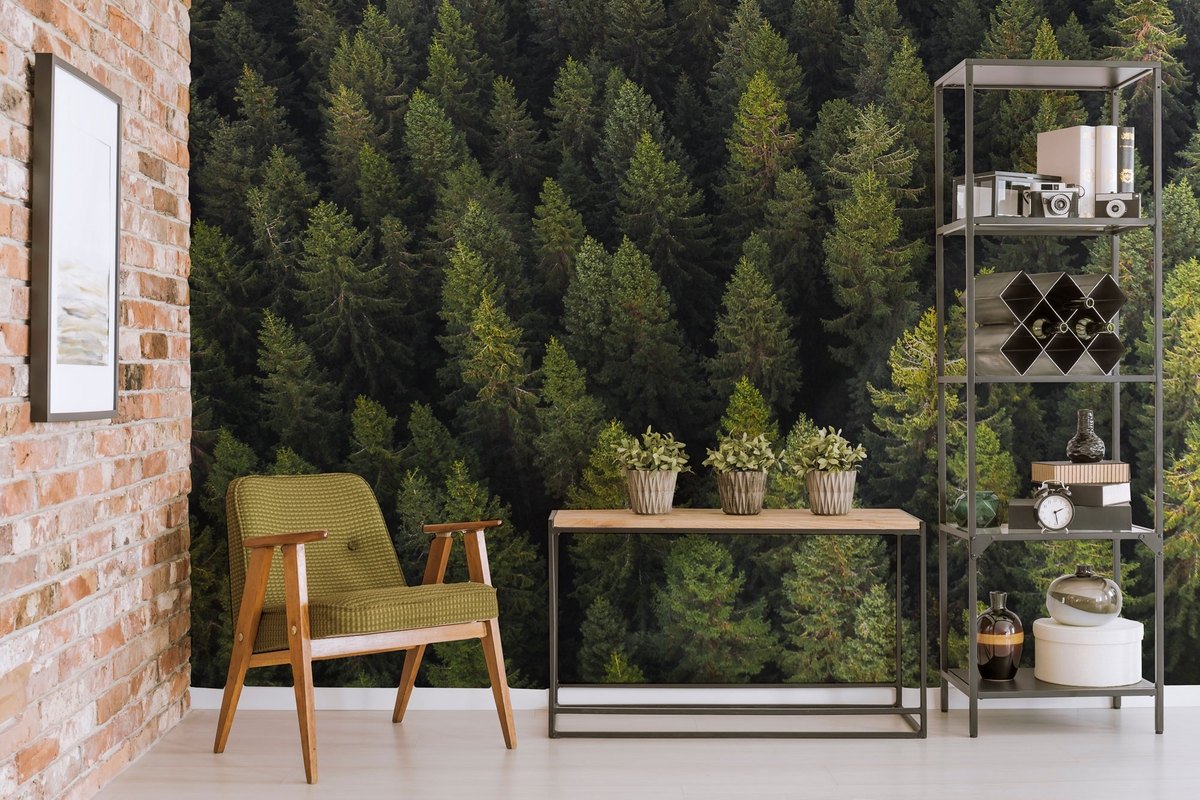 Pine Forest Landscape Wallpaper Mural - Peel and Stick