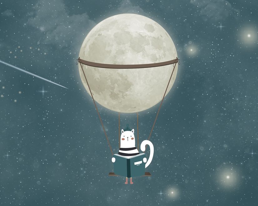 Swinging Cat with Shining Moon Children Wallpaper Mural