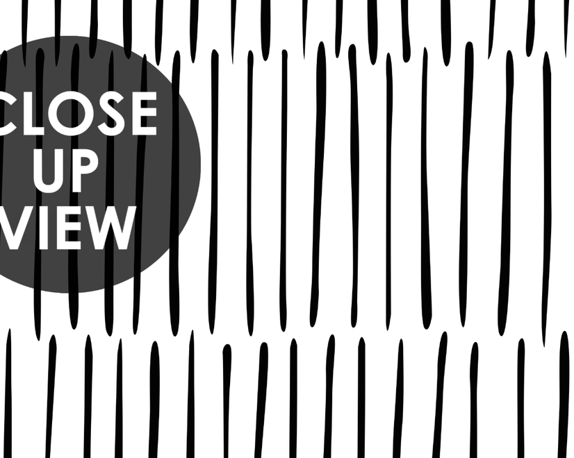 Abstract Minimalistic Black and White Line Wallpaper Mural