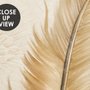Brown Feather Wallpaper Mural