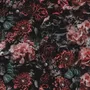 Dark Floral Wallpaper Mural