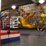 Fototapete Basketballspieler Sport