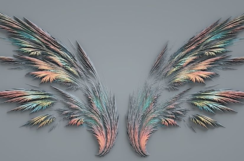 3D Embossed Look Dark Wing Papier peint panoramique