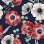Klatschmohn Blumen Fototapete