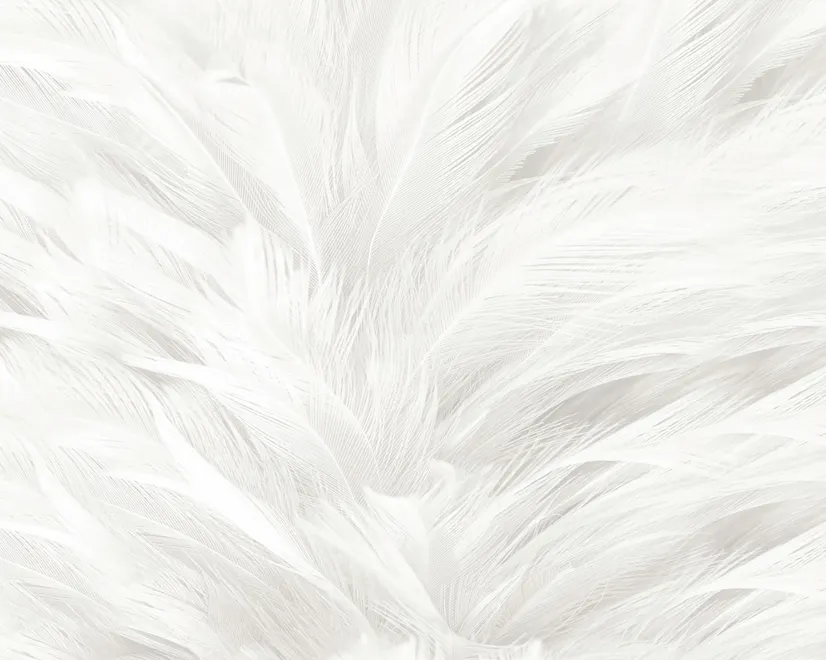 Monochrome Feather Pattern Wallpaper Mural