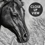 3D Embossed Look Horses Wallpaper Mural