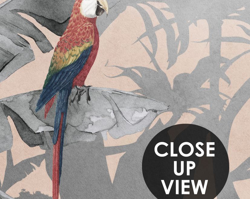 Colorful Parrot and Cute Monkey with Soft Forest Wallpaper Mural