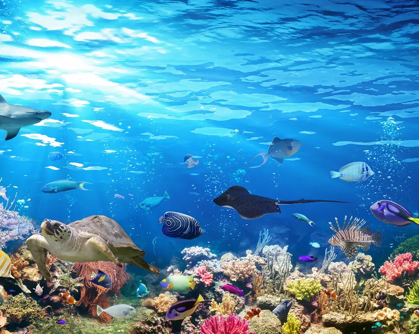 Papier peint poissons océan sous-marin