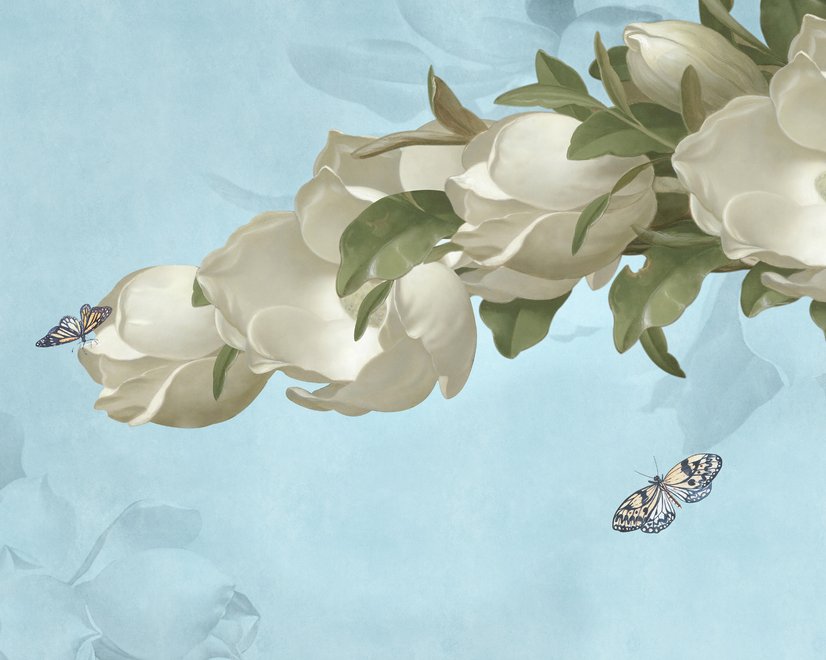 Gardenia Blumen und Schmetterling Fototapete