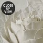 3D Embossed Look Rose Sculpture Wallpaper Mural