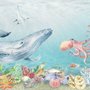 Kids Cute Whale Undersea Wallpaper Murals