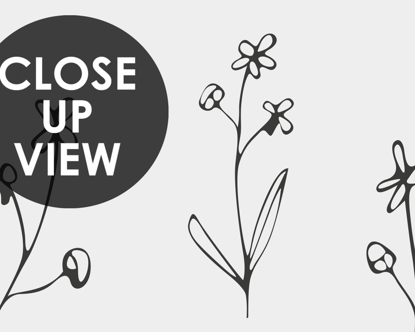 Minimal and Modern Field Plants Art Wallpaper Mural