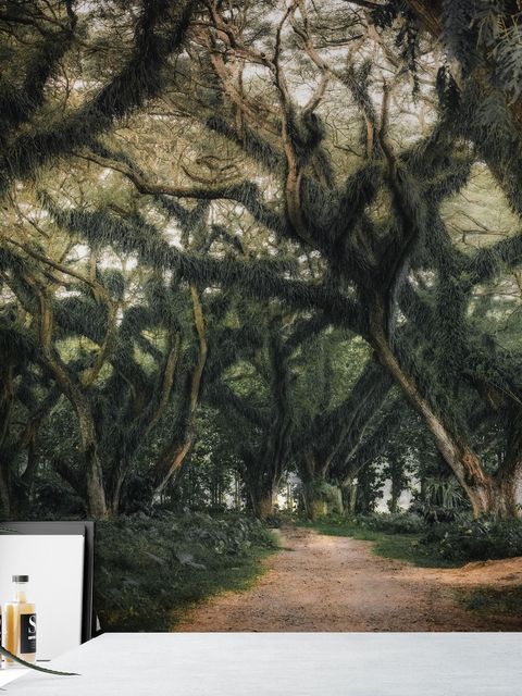 Tree Roots Wallpaper Mural