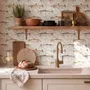 Watercolor fish wallpaper with trout, seashells and pale aqua washes on a warm cream ground