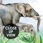 Papier peint panoramique de la forêt tropicale des enfants avec des animaux mignons de Safari