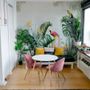 Toucans and Tropical Rainforest Wallpaper Mural