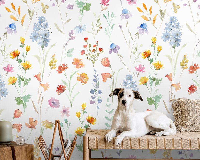 Watercolor Colorful Botanical Wild Flower Wallpaper Mural