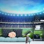 Football Sport Stadium Wallpaper Mural
