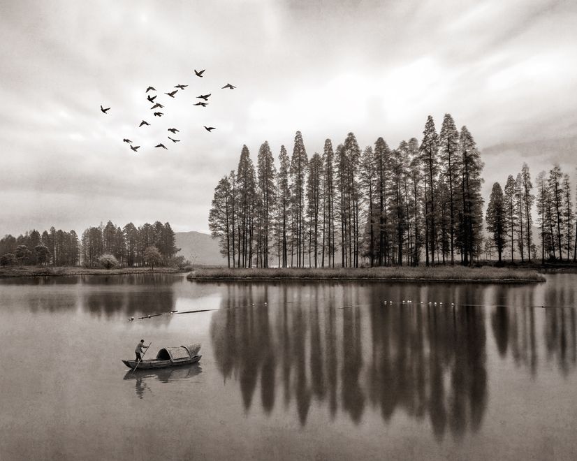 Monochrome Dark Forest and Lake Wallpaper Mural