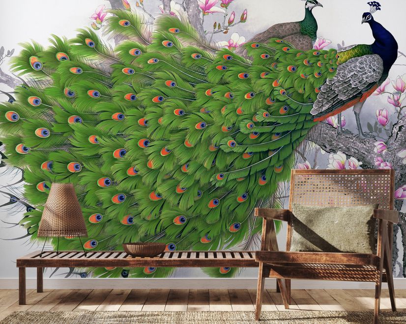 Elegante Pfau mit Kirschblüten Fototapete