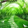 Papier peint panoramique chemin forestier effet 3D