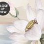 Papier peint lotus blanc oiseaux grue
