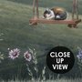 Kids Forest Animals Landscape Wallpaper Mural