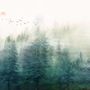 Misty Forest and Sunrise Wallpaper Mural