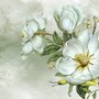 Papier peint panoramique floral magnolia nostalgique