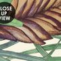 Watercolor Green Tropical Leaves Wallpaper Mural