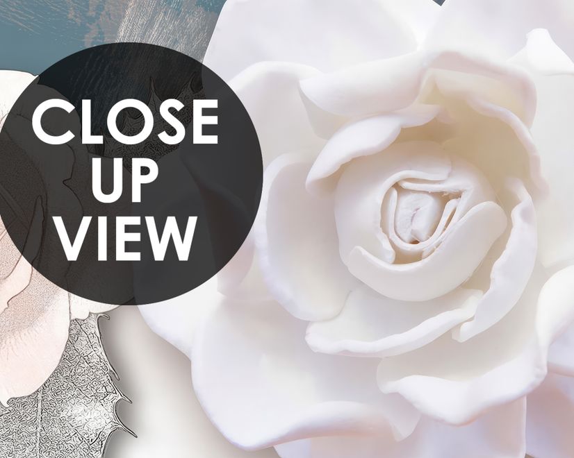 Vintage White Rose Floral Wallpaper Mural
