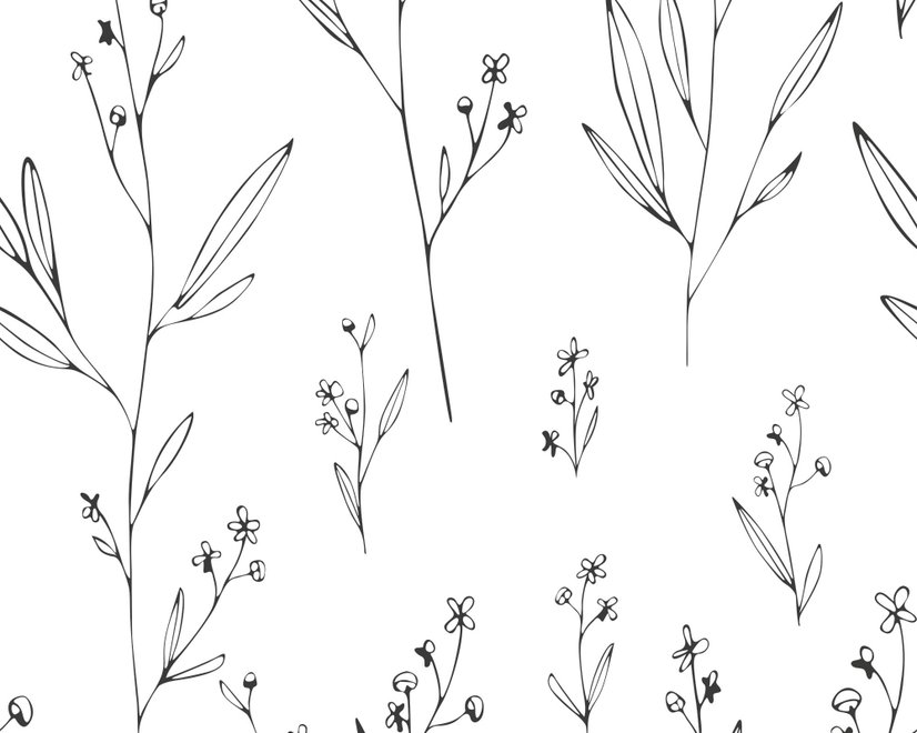 Minimal and Modern Field Plants Art Wallpaper Mural