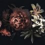 Papier peint panoramique avec pivoines et lys rouges
