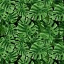 Green Tropical Leaves Wallpaper Mural