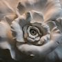 papier peint panoramique en 3D, aspect gaufré, avec des roses en ciment