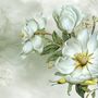 Nostalgic Magnolia Floral Wallpaper Mural
