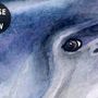 Kinder Unterwasser Tiere Wandtattoo