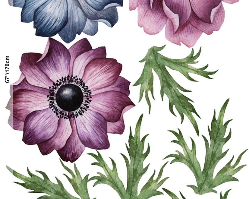 Watercolor Dark Blue Red Anemone Florals Wall Decal Sticker